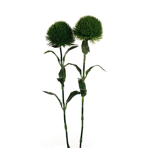 DINATHUS SPRAY GREEN